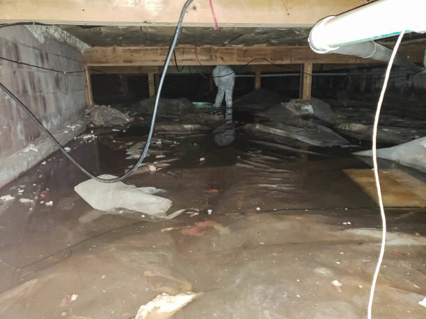 Trusted Water Damage Restoration in Dayton, WA | Fast, Reliable, and Ready to Assist You